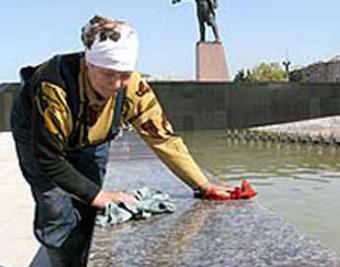 Перед саммитом в Питере пересчитали собак и бомжей