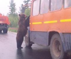 Буш показал журналистам язык