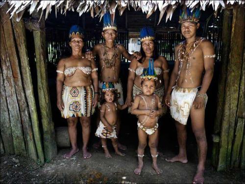 В Петербурге открылась фотовыставка о жизни племен Папуа-Новой Гвинеи | Телеканал Санкт-Петербург