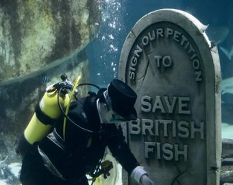 В лондонском океанариуме прошли похороны рыб