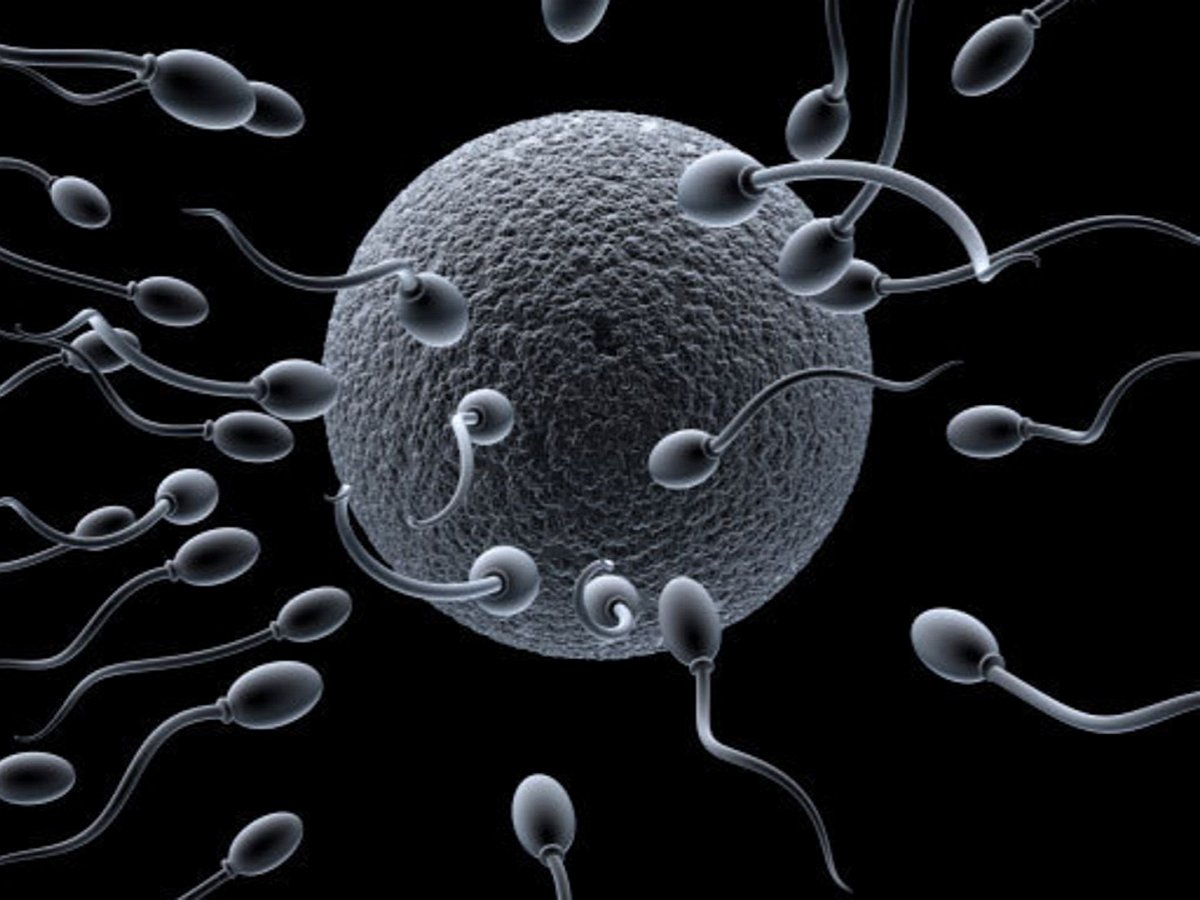 сперма во влагалище у детей фото 6