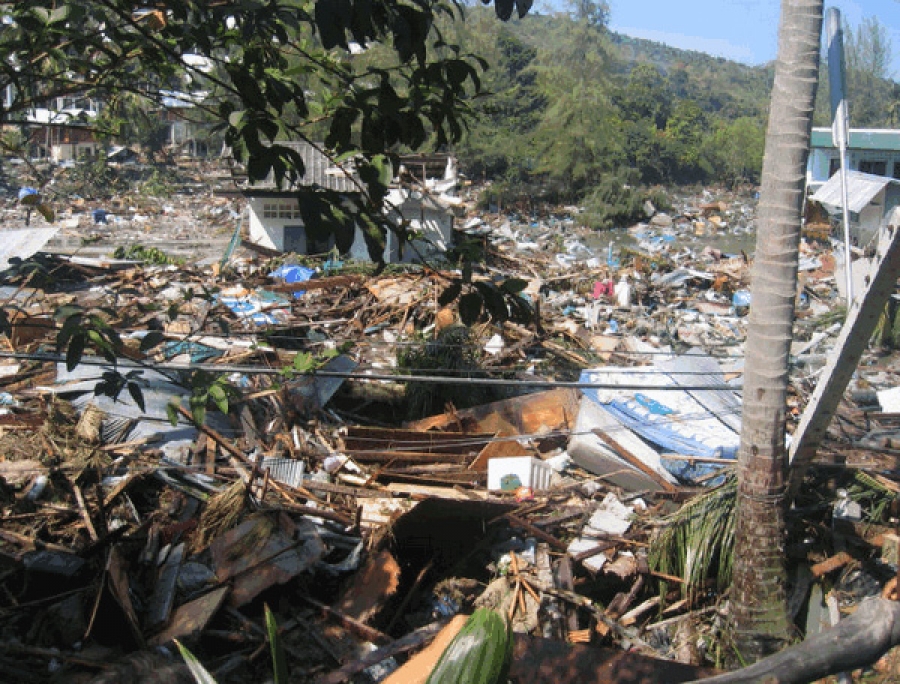 Последствия цунами в тайланде 2004