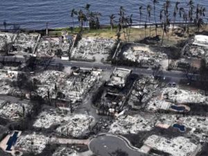 Фото уцелевшего в пожарах дома на Гавайях шокировало Сеть