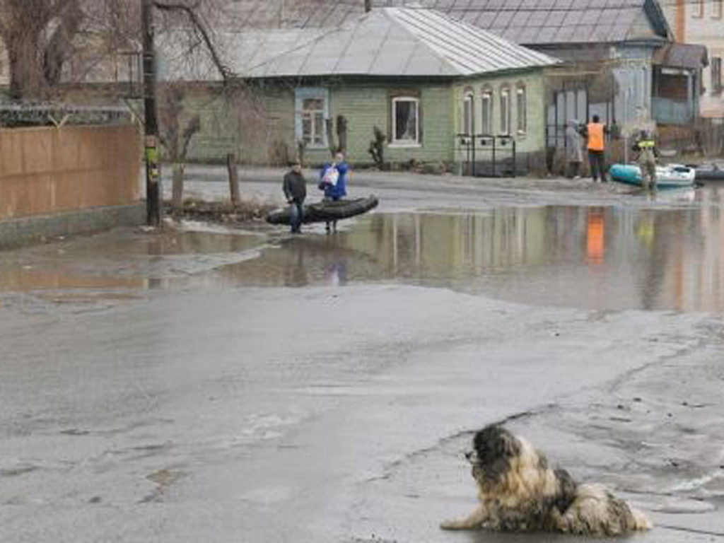 За сутки уровень воды в реке Тобол у города Курган вырос почти на 2,5 метра  - TOPNews.RU