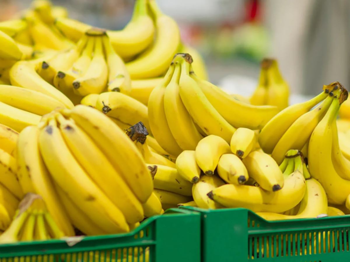 В Эквадоре нашли кокаин на $256 млн в бананах, направлявшихся в Россию