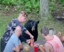 Семья пригласила медведя на пикник